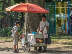 NYC815_0026