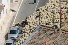 Segovia_Scene_0080
