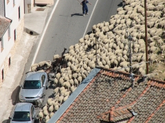 Segovia_Scene_0080