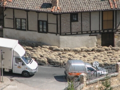 Segovia_Scene_0081