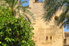 Photos from Spain-19