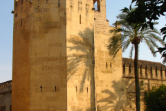 Photos from Spain-20