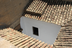 Photos from Spain-25