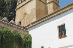 Photos from Spain-28