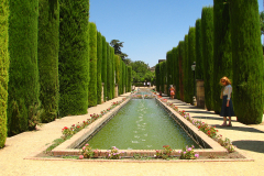 Photos from Spain-29