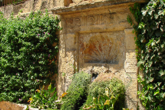 Photos from Spain-30