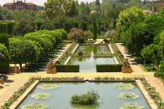 Photos from Spain-31