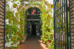 Photos from Spain-32