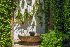 Photos from Spain-55