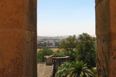 Photos from Spain-57