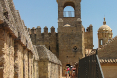 Photos from Spain-59