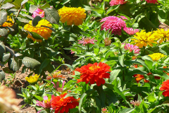 Photos from Spain-62