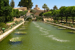 Photos from Spain-63