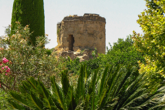 Photos from Spain-64