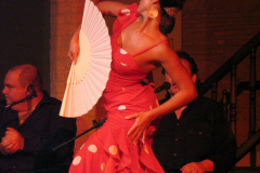 Photos from Spain-79