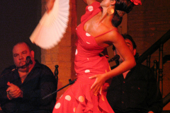 Photos from Spain-80