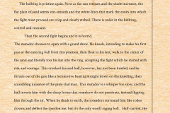 why_the_bull_1403