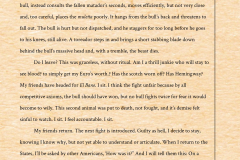 why_the_bull_1404