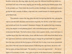 why_the_bull_1401
