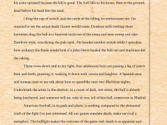 why_the_bull_1402