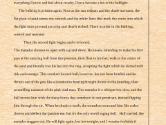 why_the_bull_1403