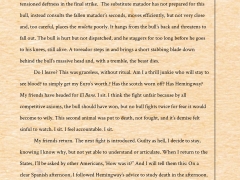 why_the_bull_1404